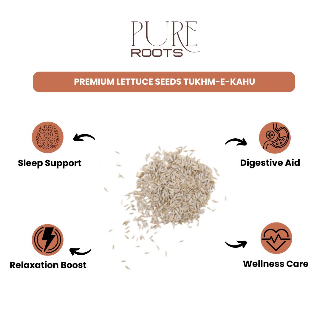 Premium Lettuce Seeds Tukhm-e-Kahu - 100g