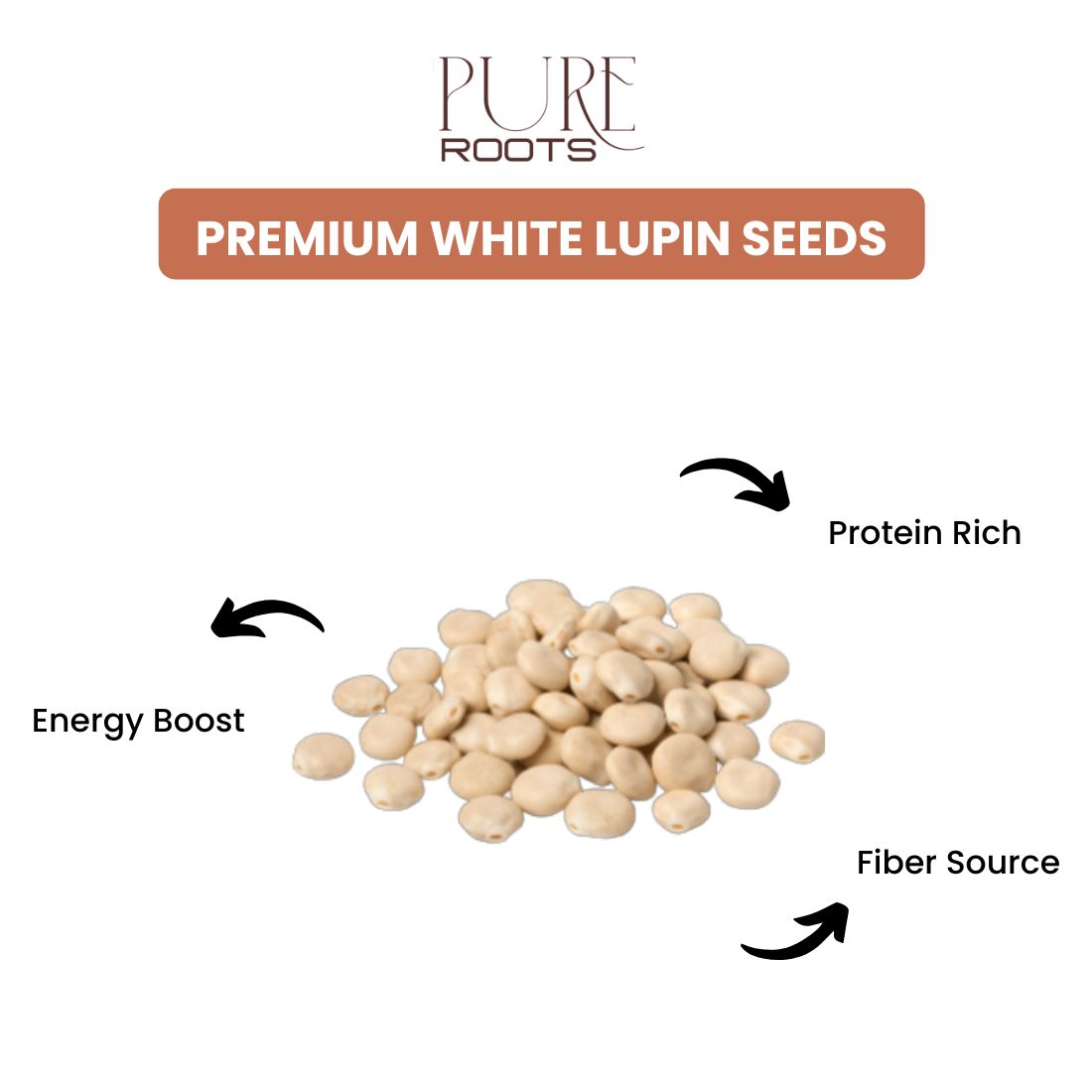 Premium White Lupin Seeds Turmas Seeds 100gm