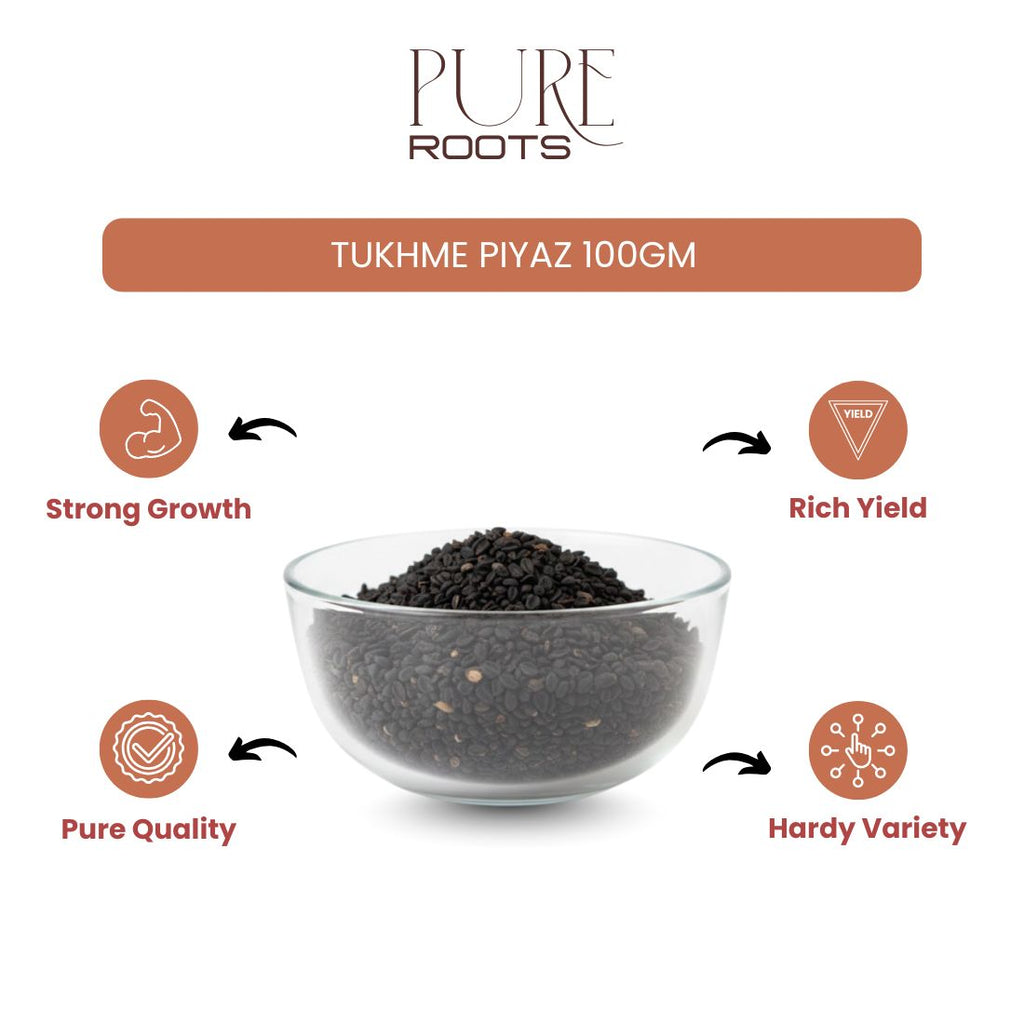 Onion Seeds Piyaz Ka beej / Tukhme piyaz 100gm