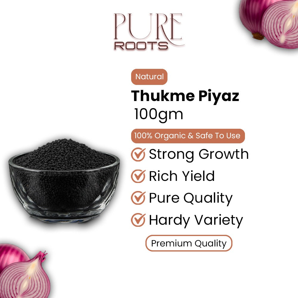 Onion Seeds Piyaz Ka beej / Tukhme piyaz 100gm